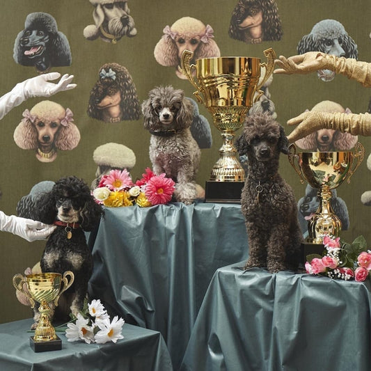 Poodle Parlour Wallpaper - Moss