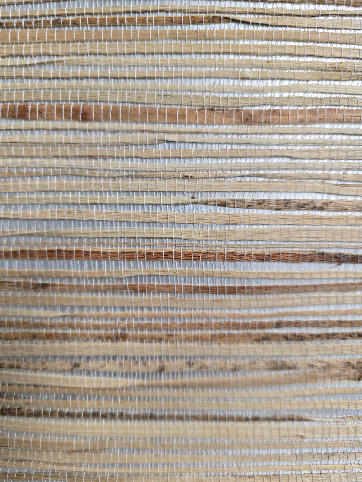 Hemp Revolution - 100% Hemp Wallpaper - Neutral Shimmer