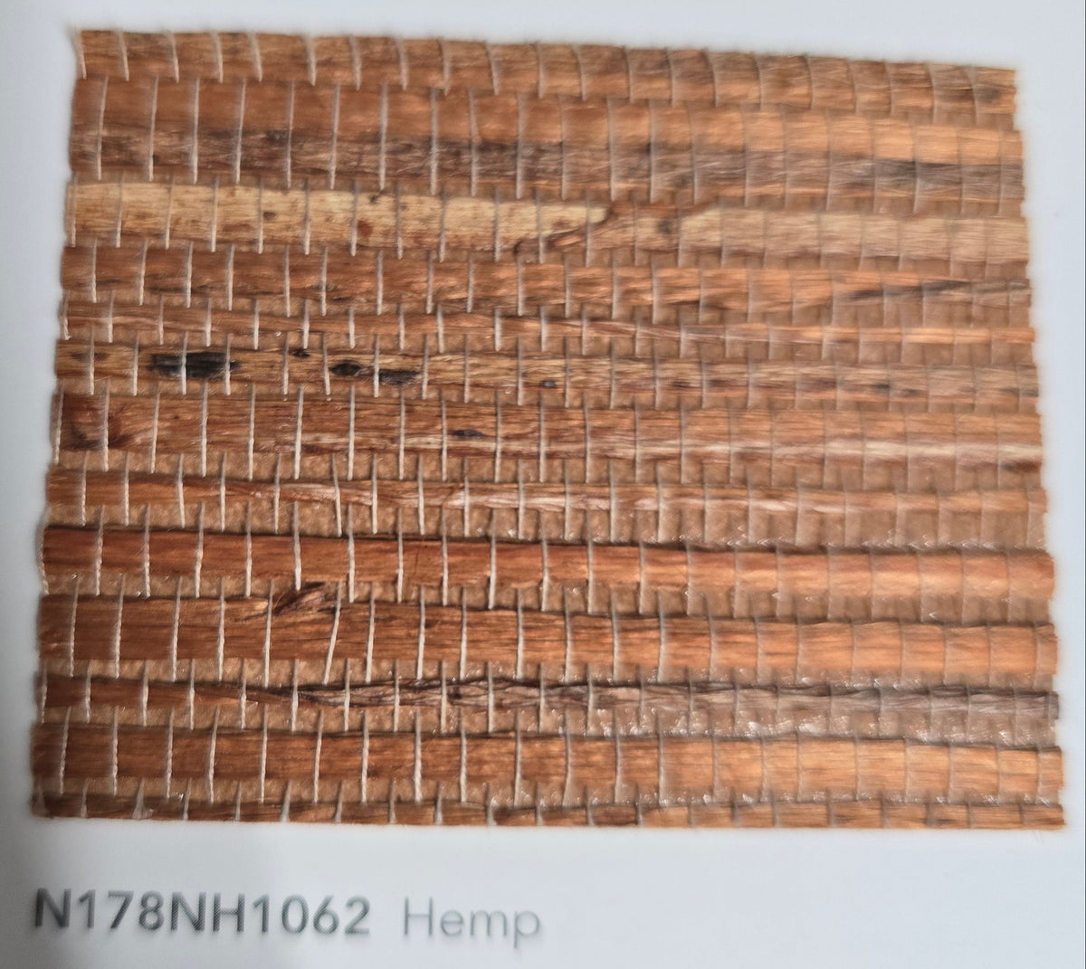 Hemp Revolution - 100% Hemp Wallpaper - Biscuit