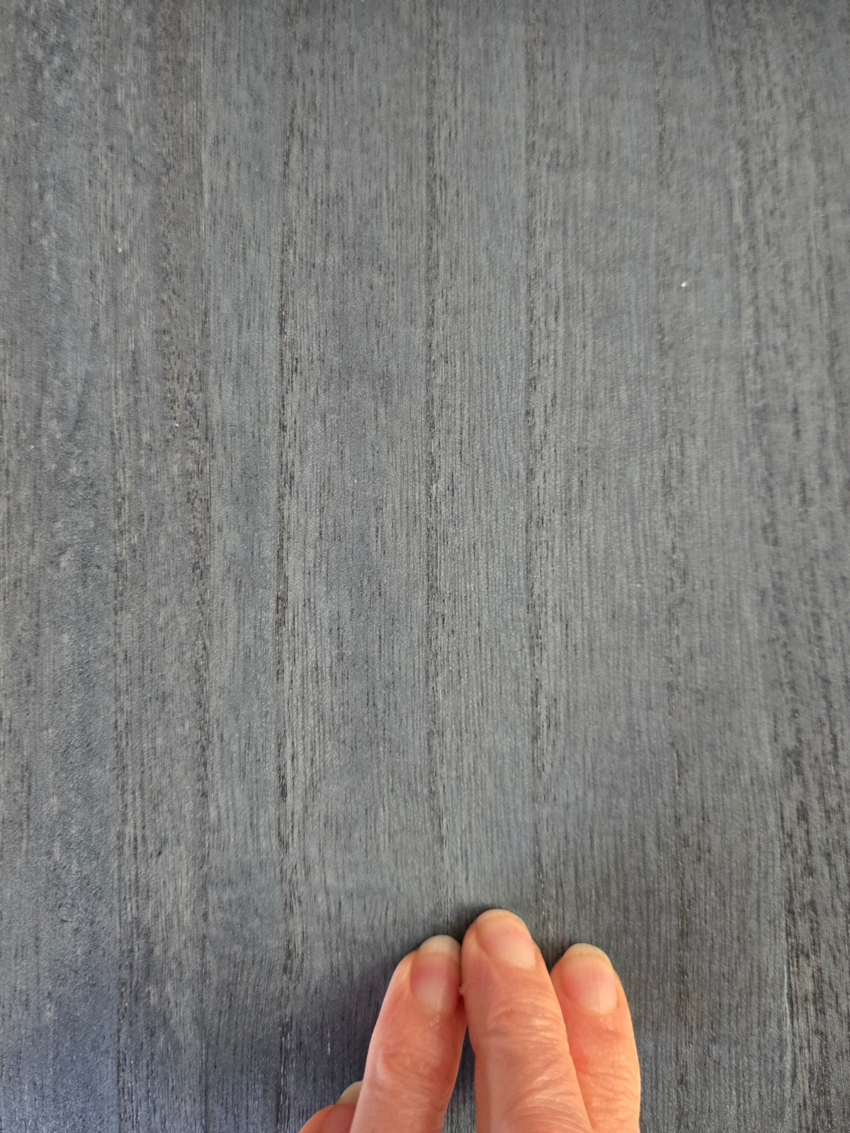 Paulownia - Wood Veneer Wallpaper - Ocean Crush