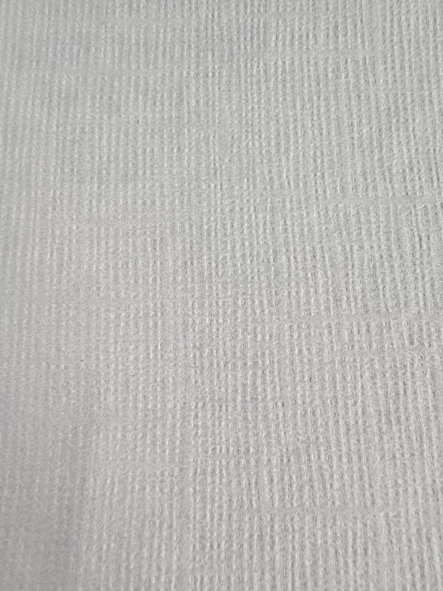 Anaglypta Pre Painted Textured Wallpaper - Dove Grey