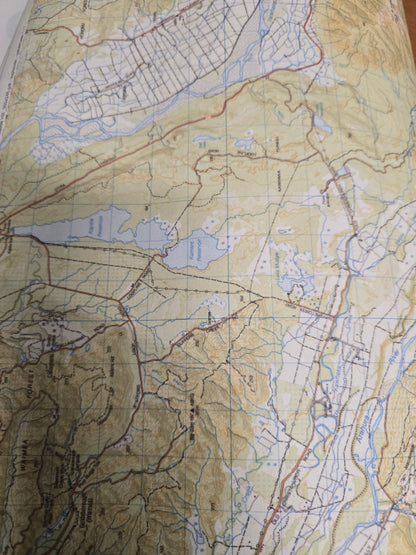 Sample – New Zealand LINZ - Custom Sized Wallpaper Mural (per m2)