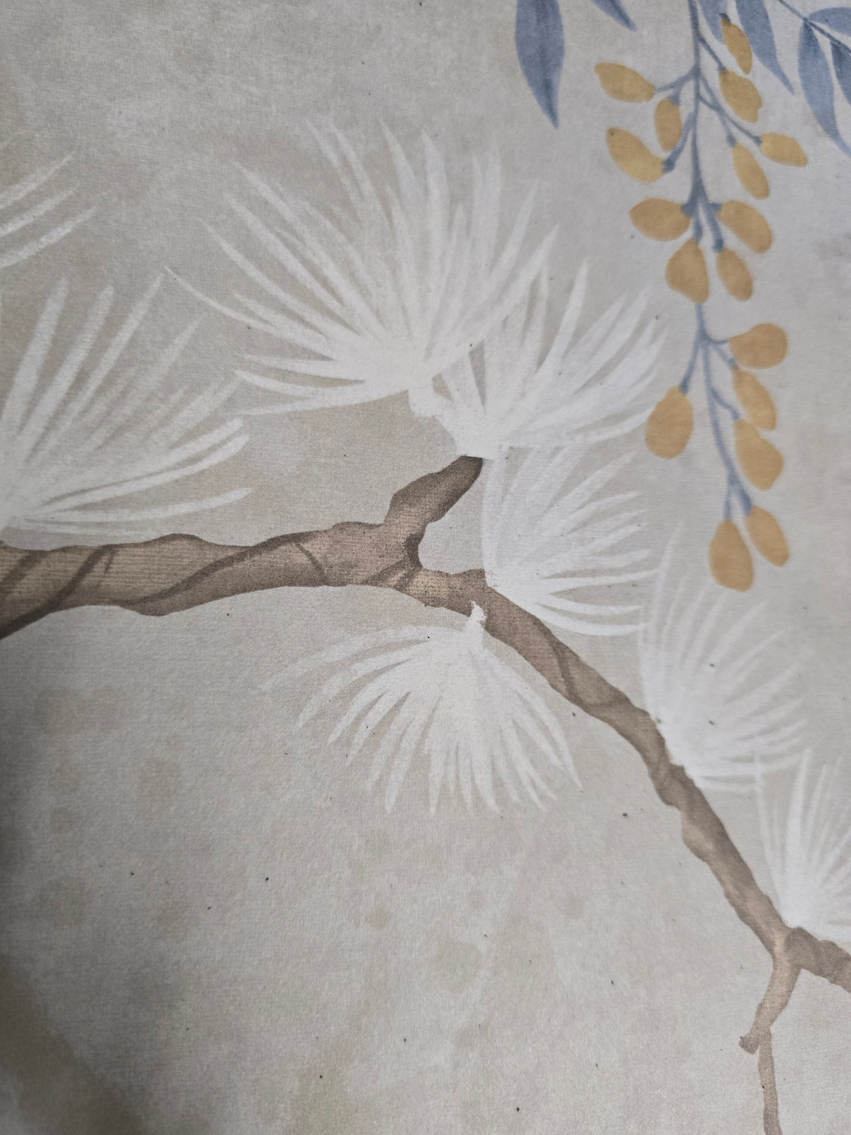 Pine Shadow Wisteria Wallpaper – Beige