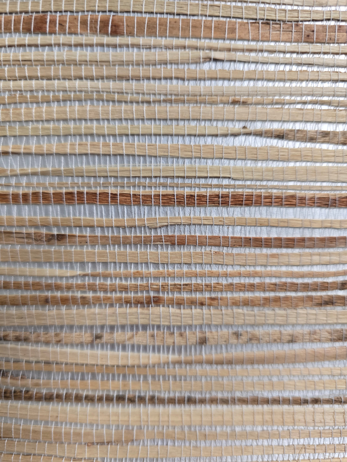 Hemp Revolution - 100% Hemp Wallpaper - Neutral Shimmer