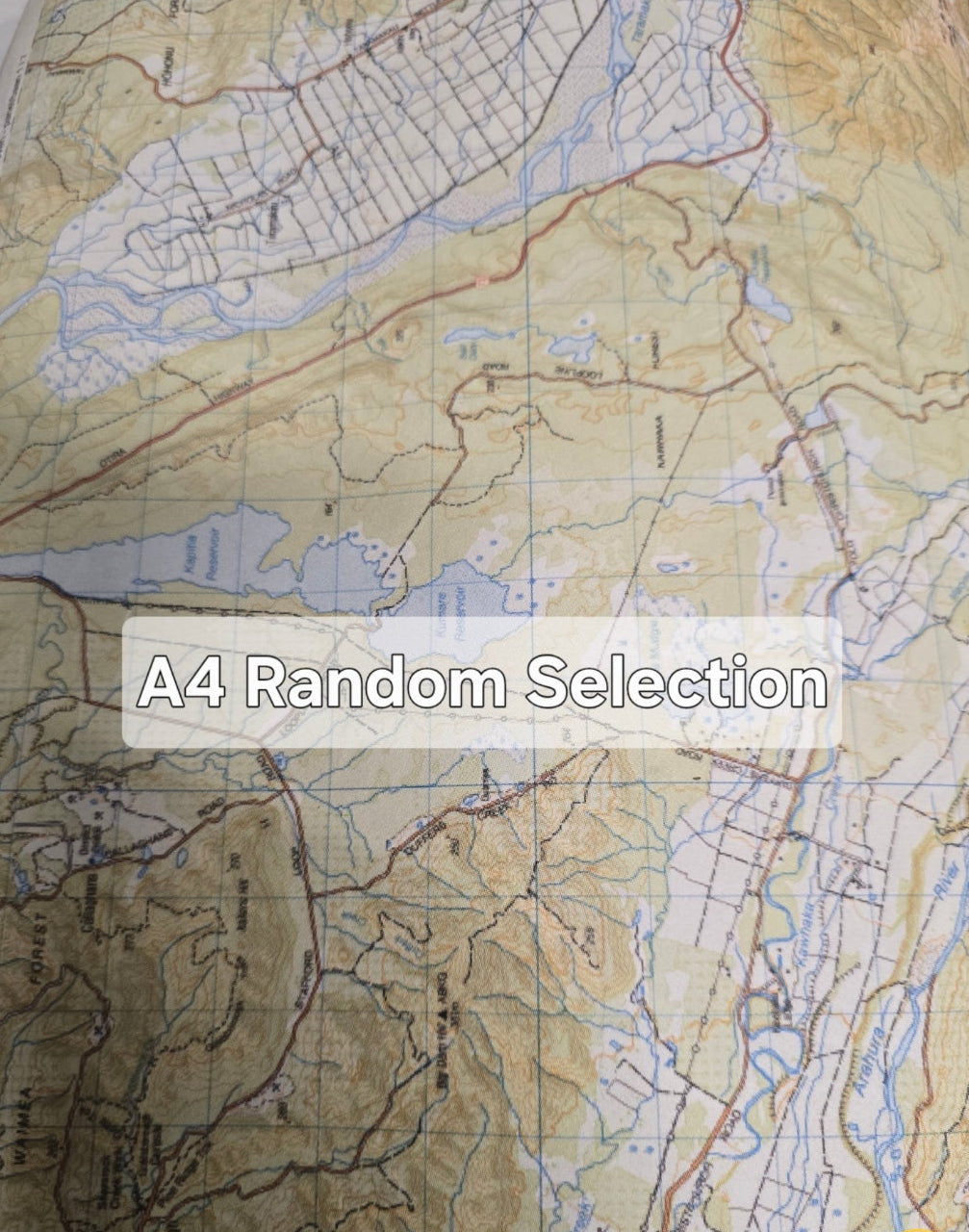 Sample – New Zealand LINZ - Custom Sized Wallpaper Mural (per m2)