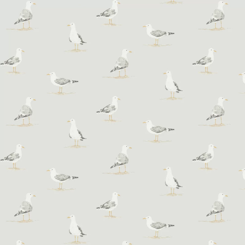 Sample - Shore Birds Wallpaper - Gull