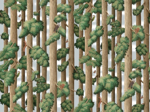 Sequoia Forest Hybrid Mural Wallpaper (Jimmy Cricket)