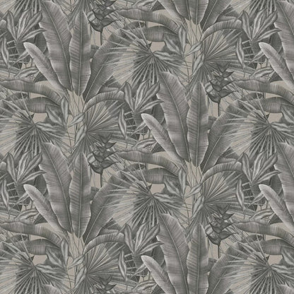 Exotic Jungle Wallpaper - Charcoal
