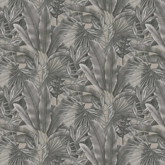 Exotic Jungle Wallpaper - Charcoal