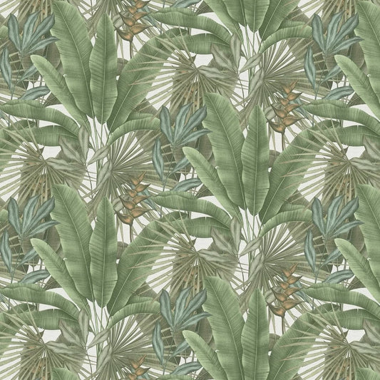 Exotic Jungle Wallpaper - Green