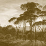 Italian Landscape - Custom Sized Wallpaper Mural (per m2) - Monotone