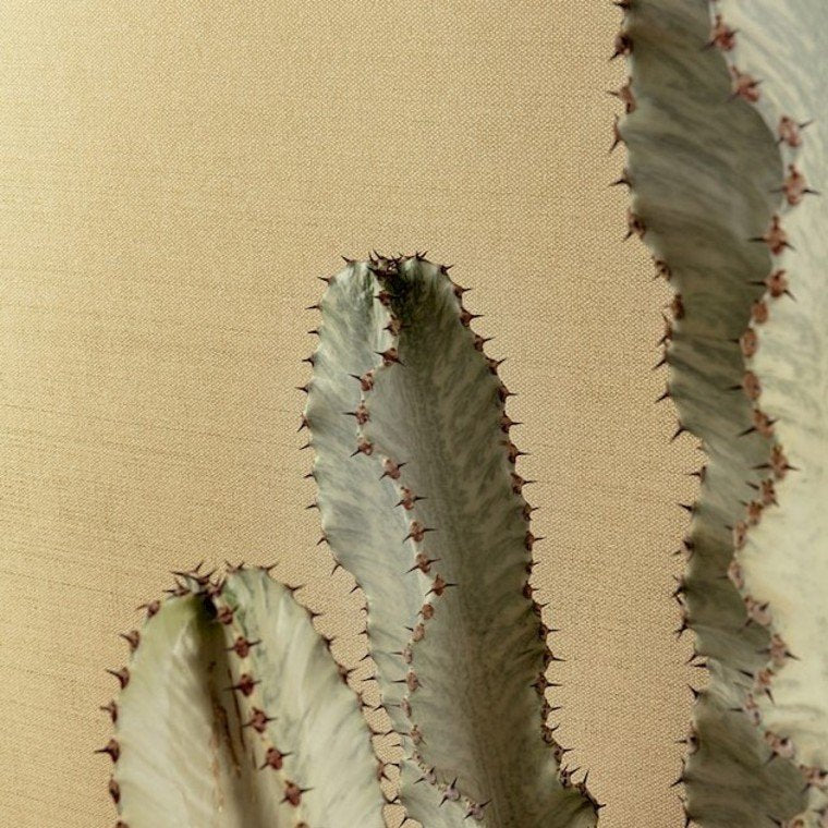 Khroma by Masureel Textured Wallpaper - 9 Colours