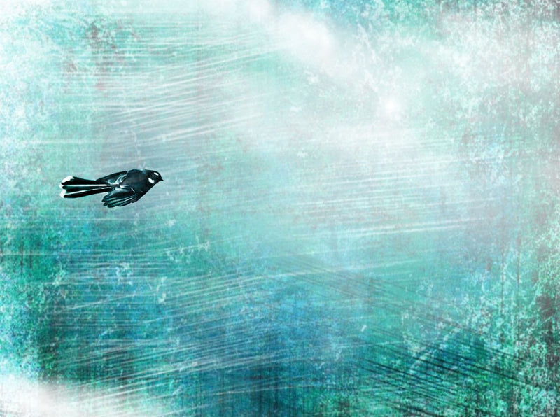 Flight of the Tui Mural Wallpaper