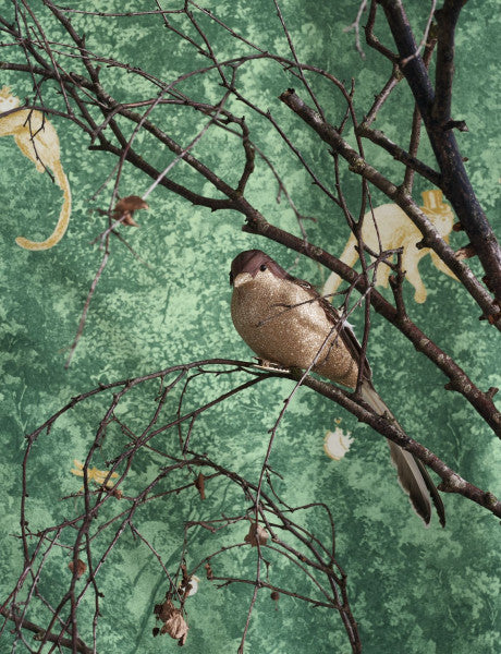 Jardin Des Merveilles Wallpaper - Green - Ochre Monkey