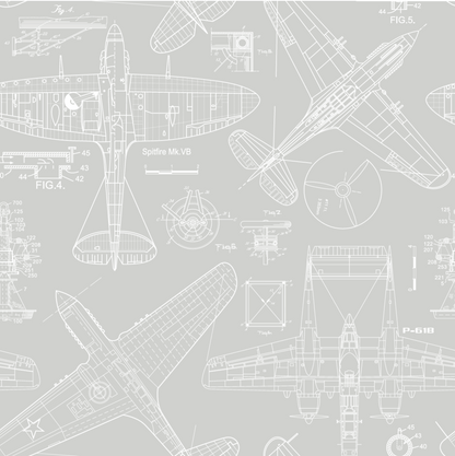 Zoom Airplane - Grey - Custom Sized Wallpaper Mural (per m2)