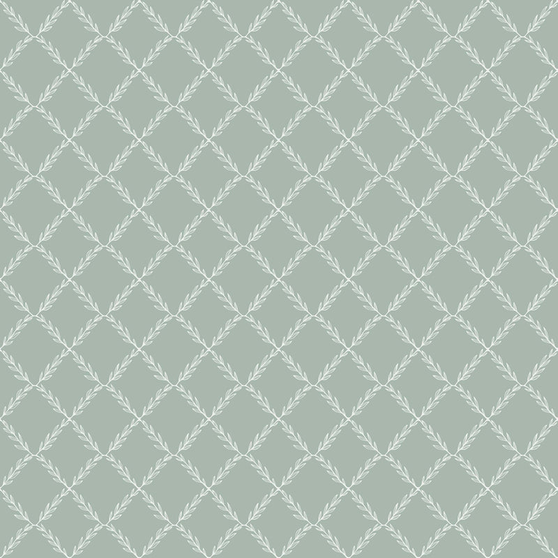 Vide Wallpaper - 4 Colours