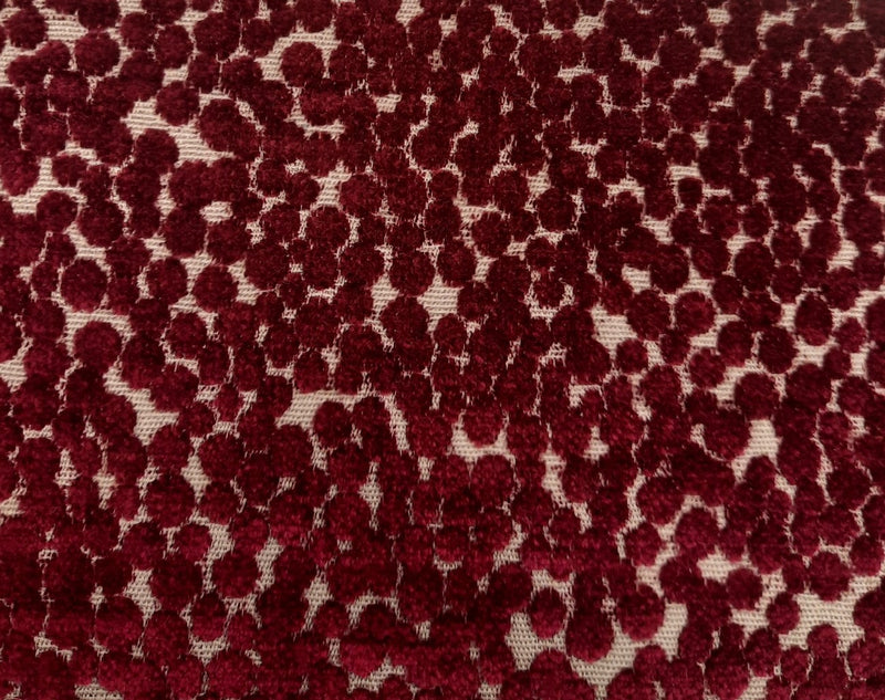 Boysenberry
