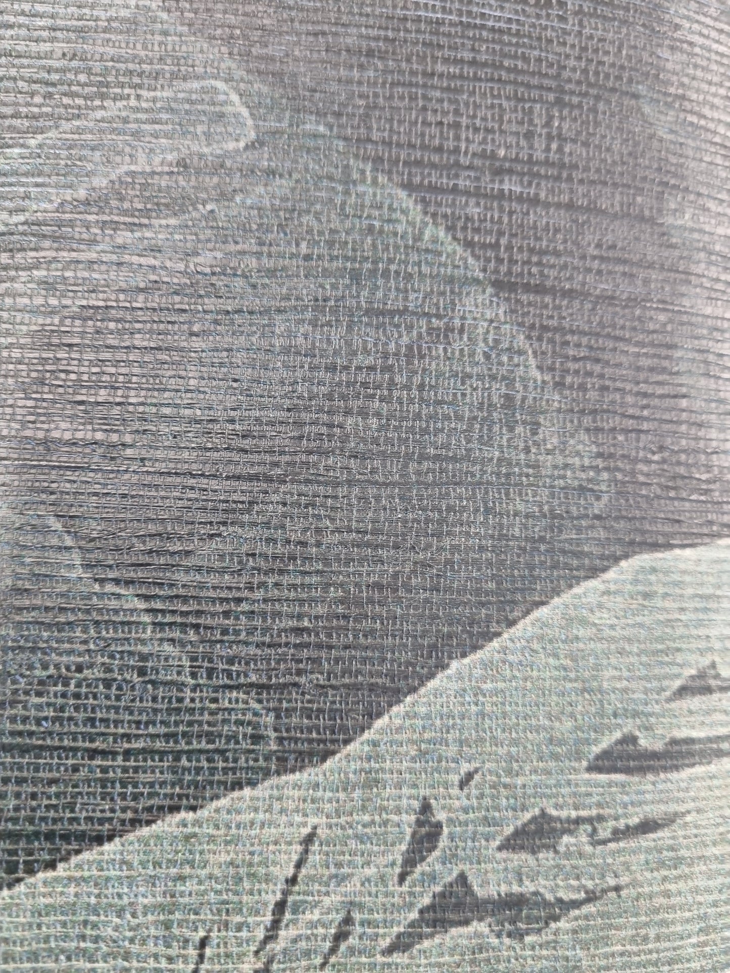 Texture Detail - Black