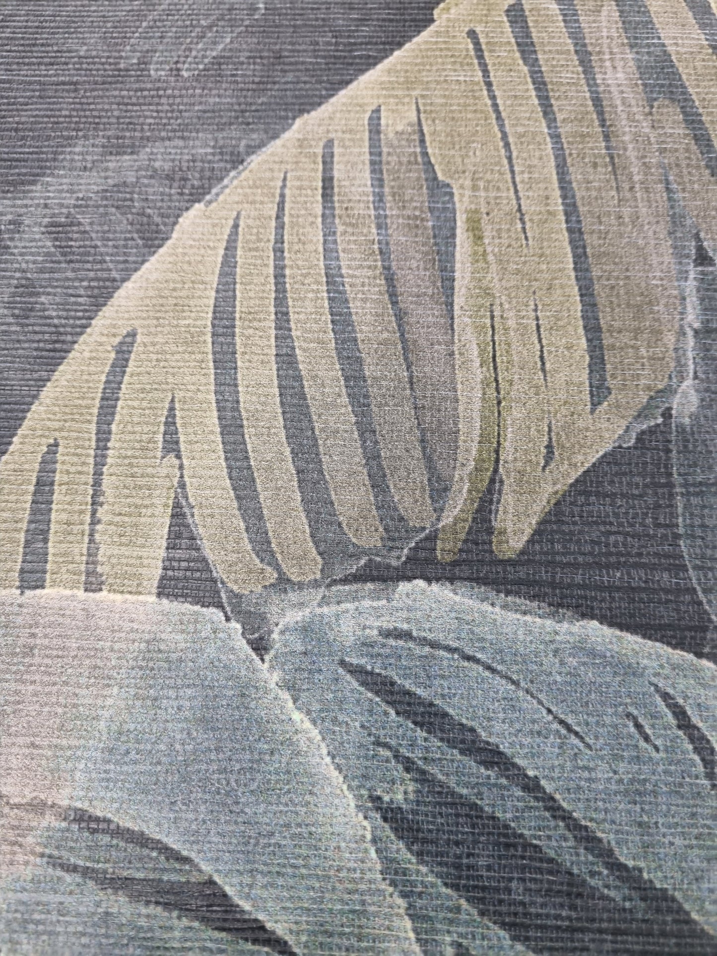 Texture Detail - Black