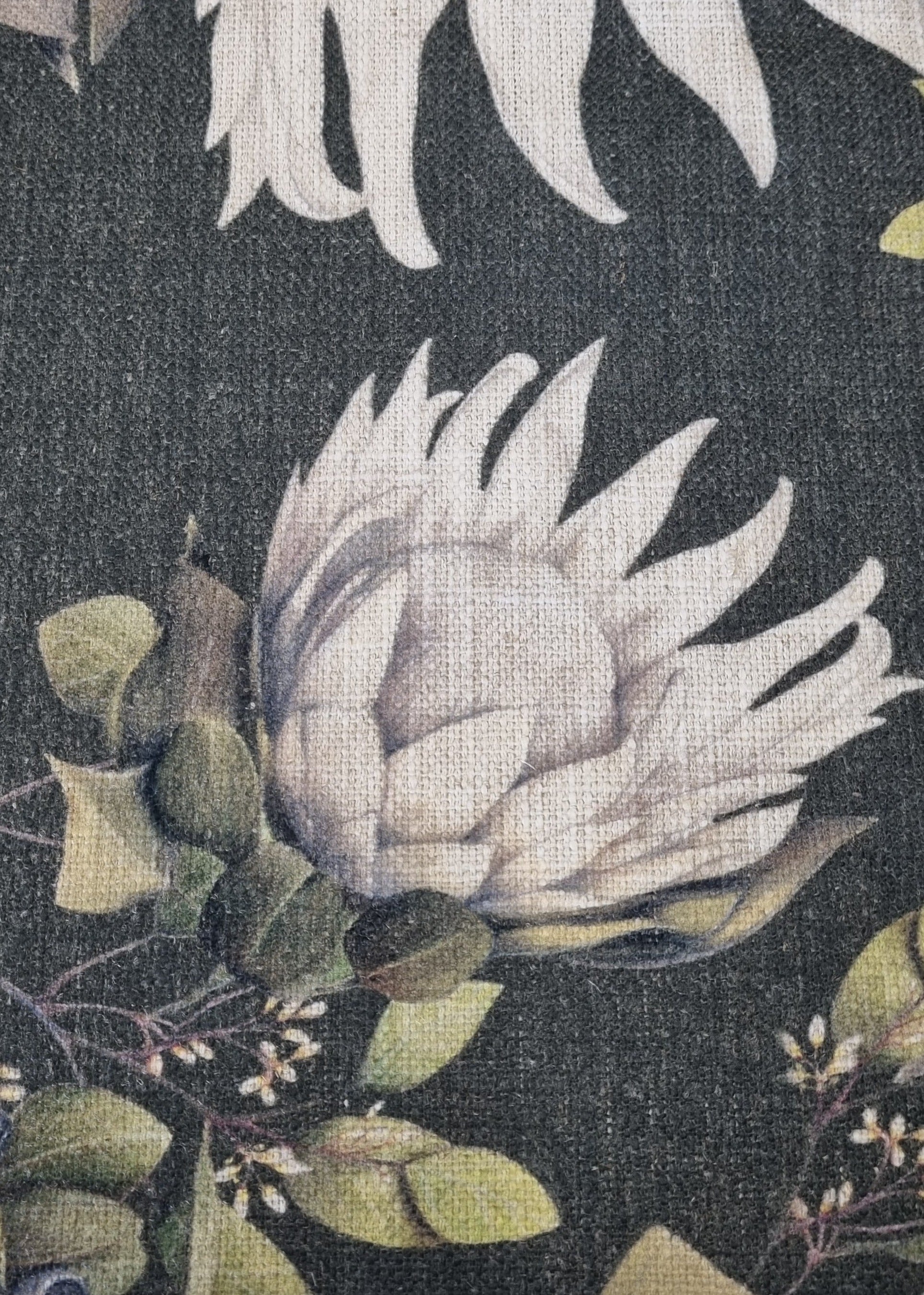 King Protea Fabric - Bruge - Olive Colour