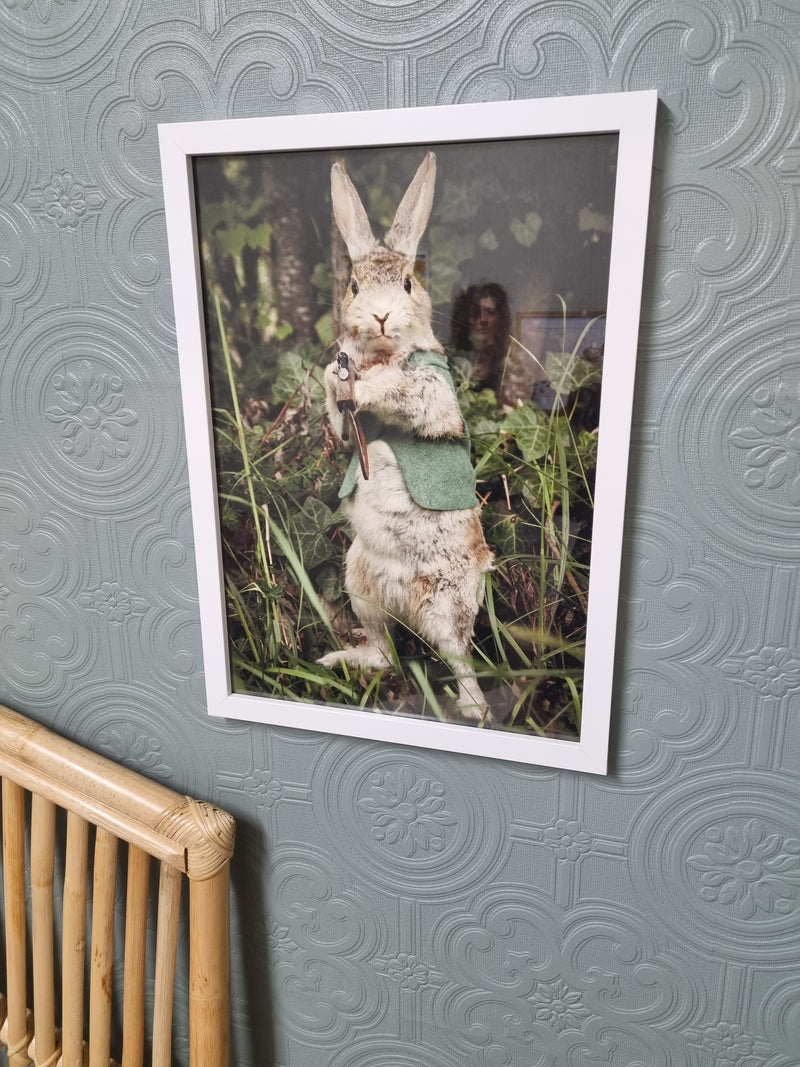 Banging Bunny - Fine Art Print