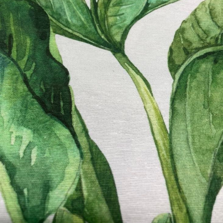 Water Colours