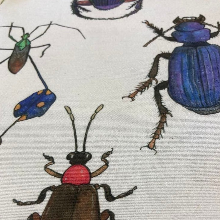 Scarab Beetle 