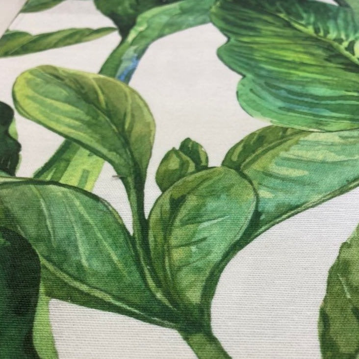 Tropical