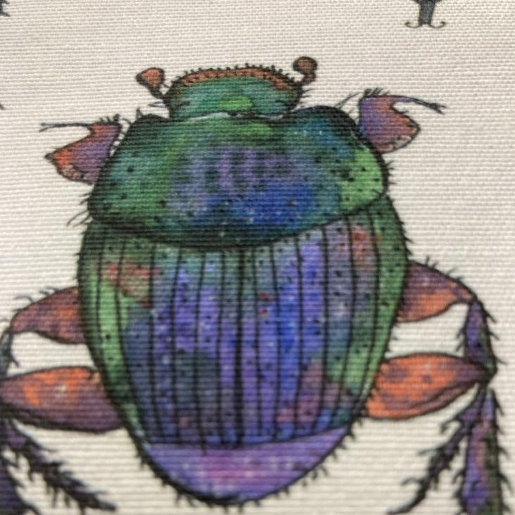 Scarab Beetle 