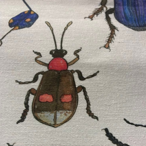 Scarab Beetle 