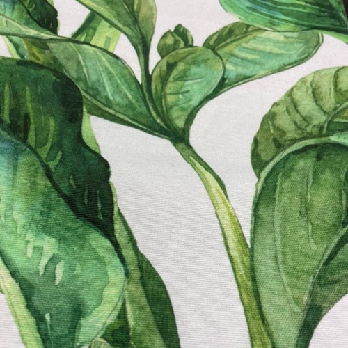 Tropical Leaves 