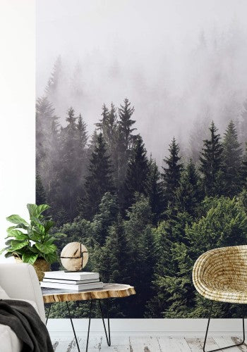 Forest Mist - Wall Mural