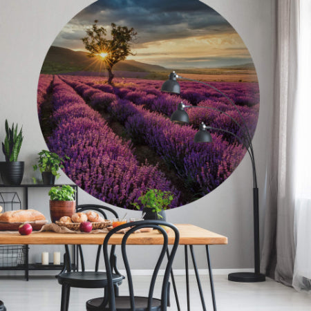Circular Lavender in the Provence Mural