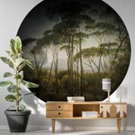 circular 144cm x 144cm