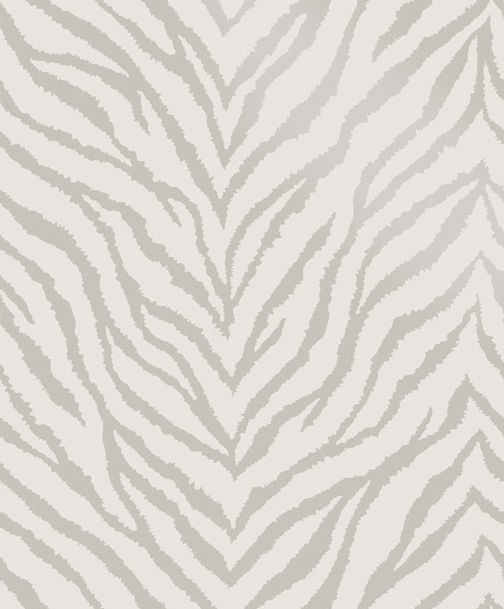 Zahara Zebra Wallpaper - Dove