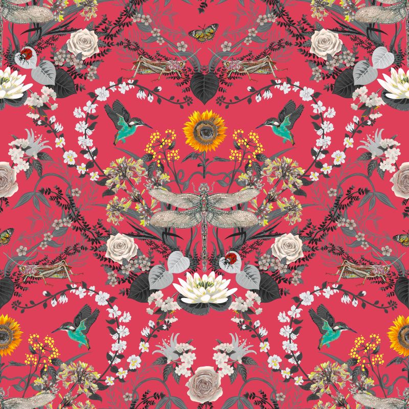 Dragon Fly Velvet - Candy