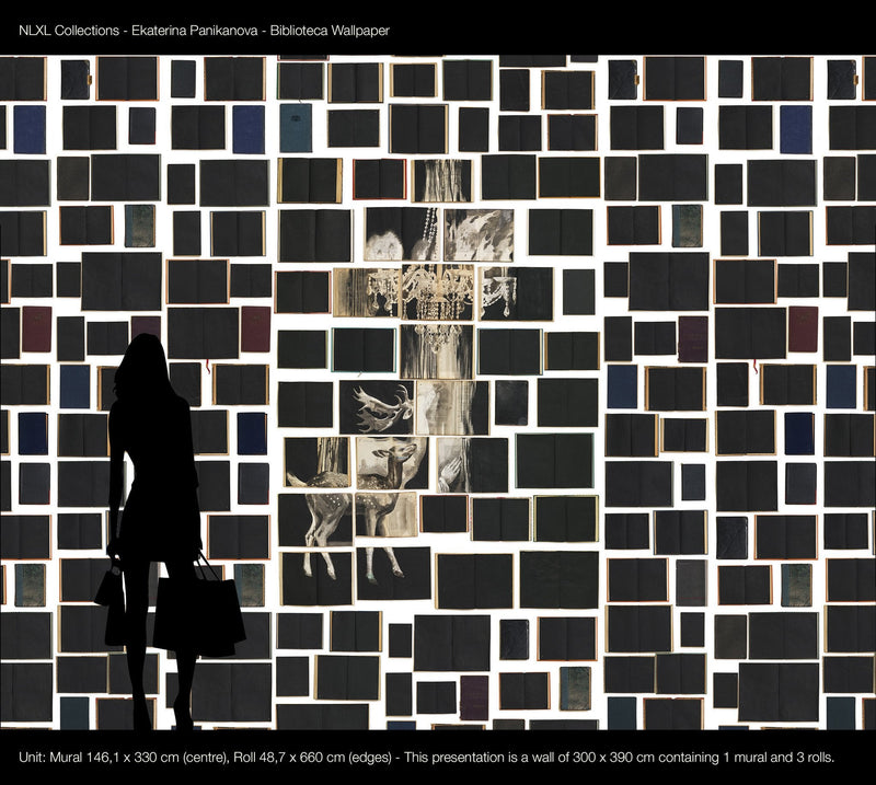 "Biblioteca Series" Mural wallpaper by Ekaterina Panikanova - 5 different styles NZ-Wallpaper