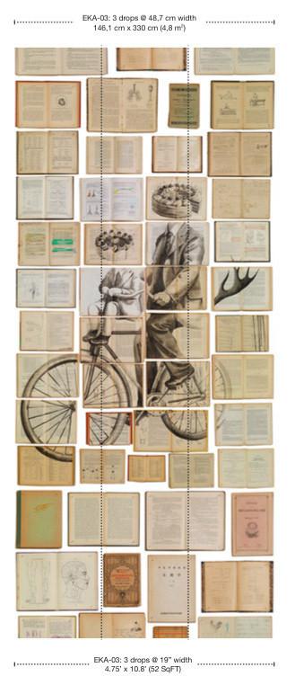 Biblioteca Series Mural wallpaper by Ekaterina Panikanova -   5 different styles