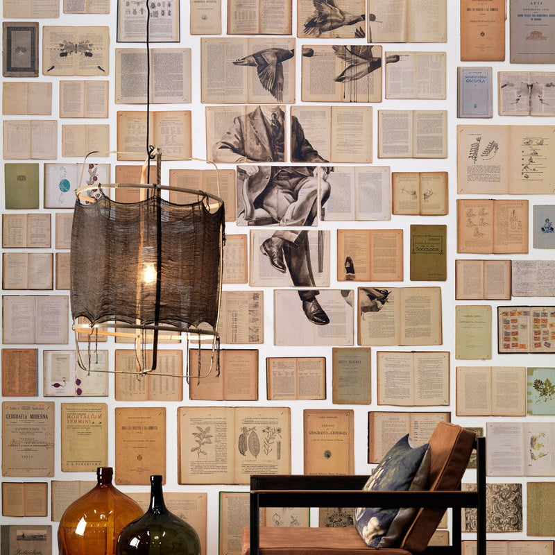 Biblioteca Series Mural wallpaper by Ekaterina Panikanova -   5 different styles