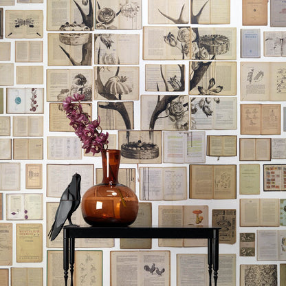 Biblioteca Series Mural wallpaper by Ekaterina Panikanova -   5 different styles