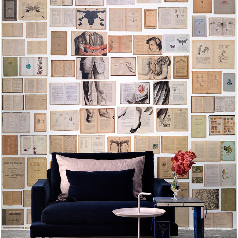 Biblioteca Series Mural wallpaper by Ekaterina Panikanova -   5 different styles