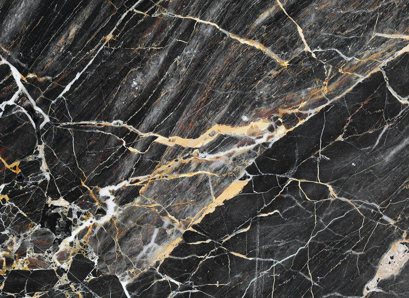 Black Gold Marble Mural