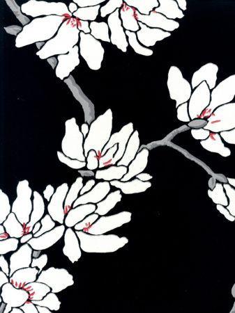 Black Magnolia Wallpaper