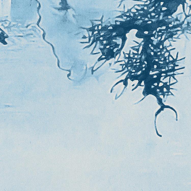 Blue China - Wallpaper Mural NZ-Wallpaper