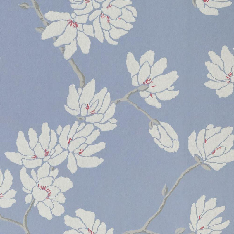 Blue Magnolia Wallpaper