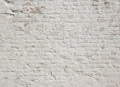 Brick White Wall Mural full pattern