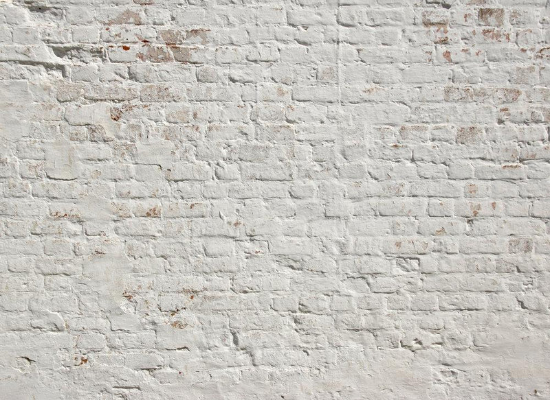 Brick White Wall Mural full pattern