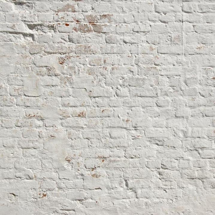 Brick White Wall Mural