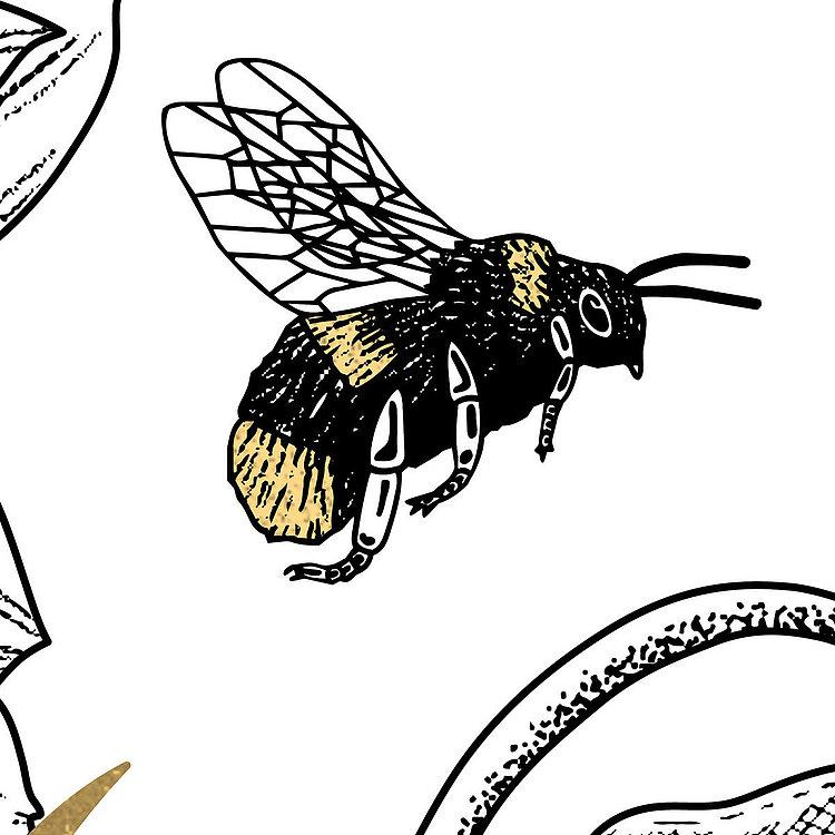 Bumblebee - Wallpaper Mural NZ-Wallpaper