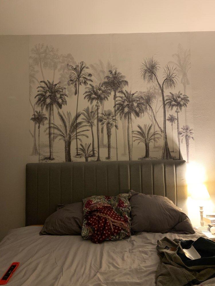 Coconut Wallpaper
